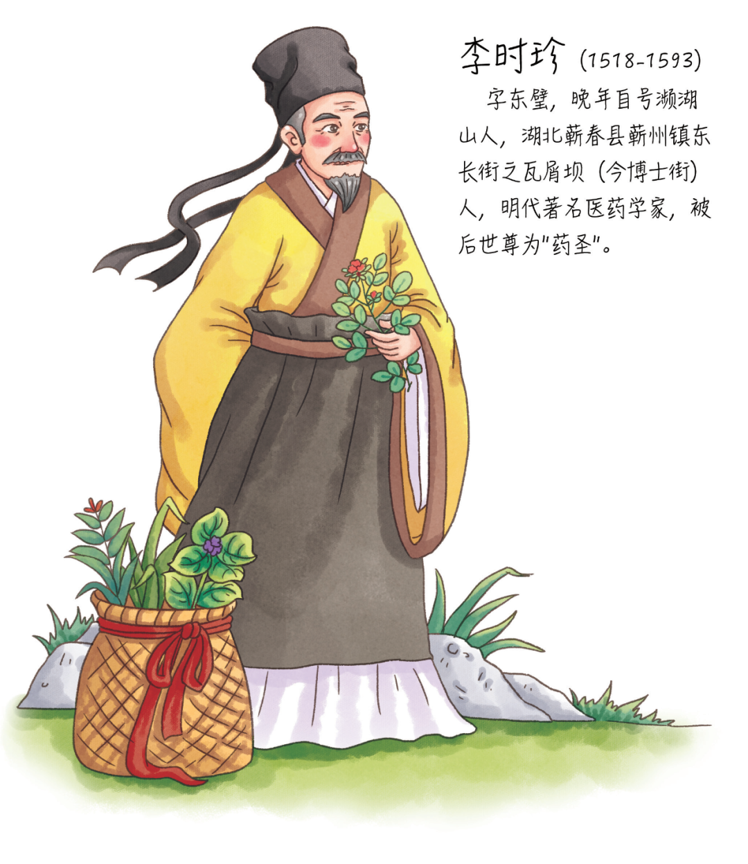 中医药文化｜认识中药